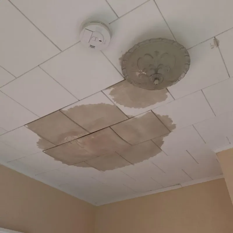 Ceiling Water Damage Repair in Lavon, TX