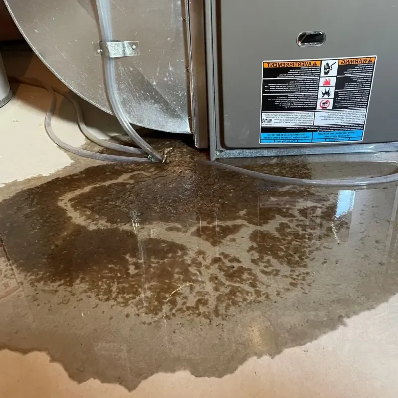 Pipe Burst and Leak Restoration in Lavon, TX