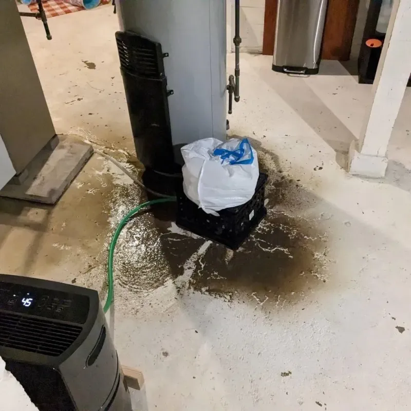 Sewage Backup Cleanup Service in Lavon, TX